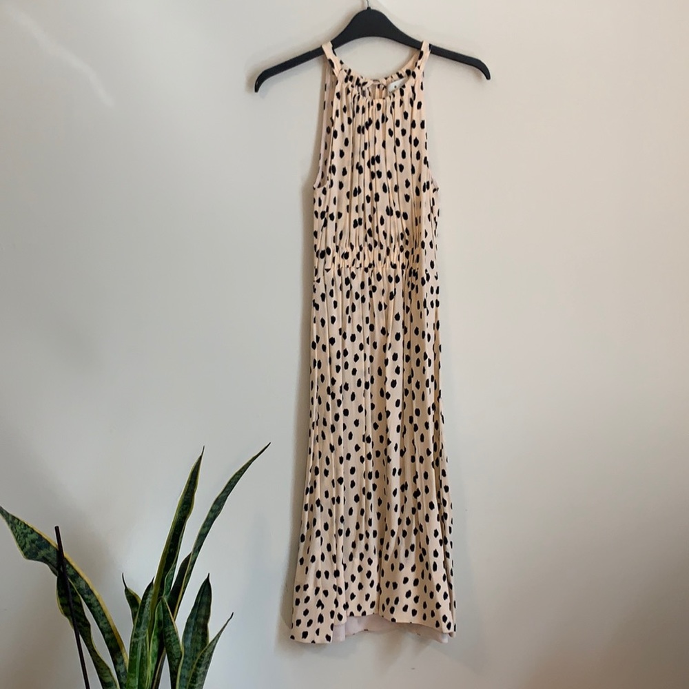 Kate Spade Polka Dot Dress